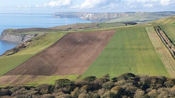 Dorset coastal scene 